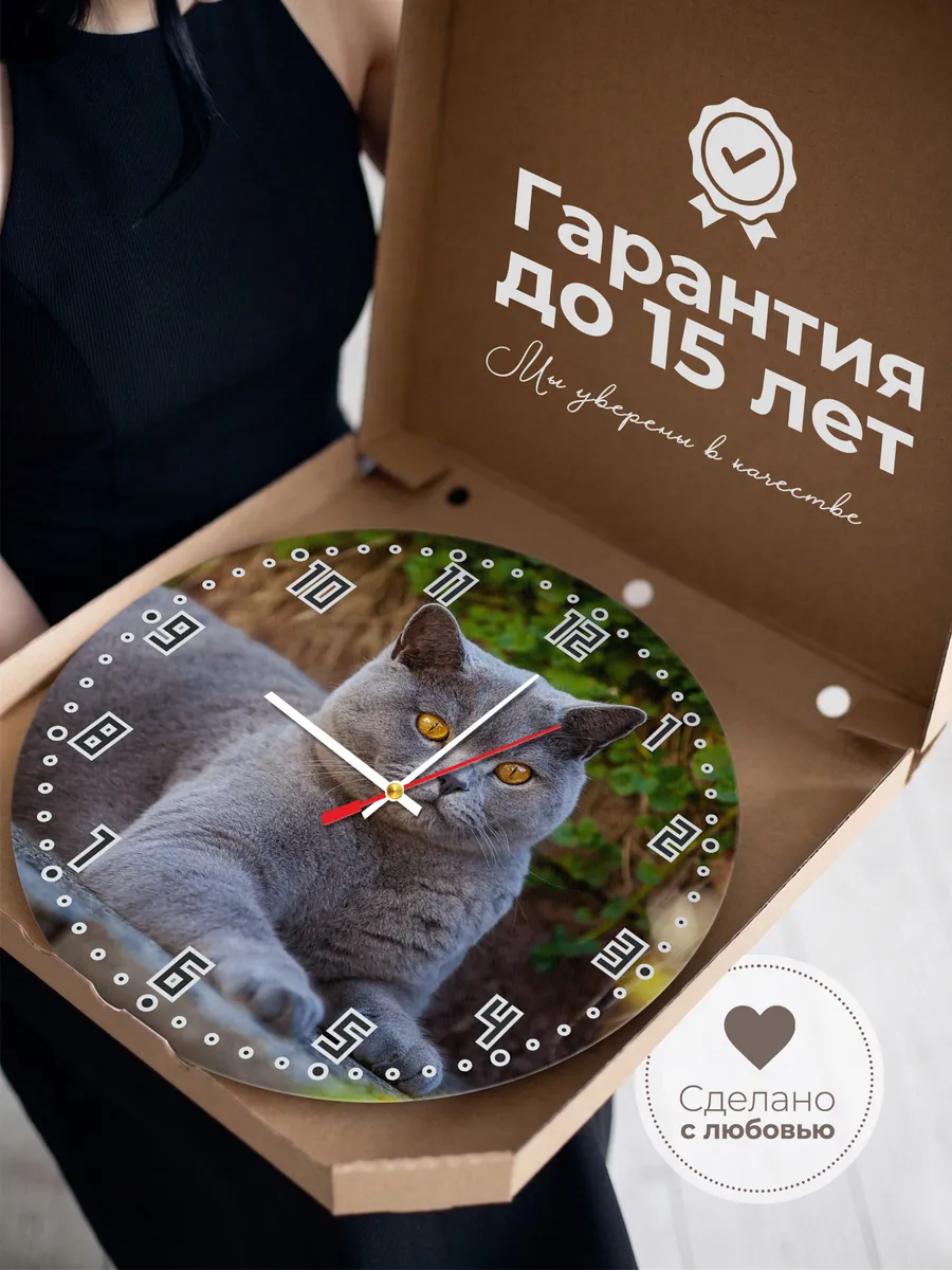Часы настенные "Британка короткошерстная серая " — фото 3