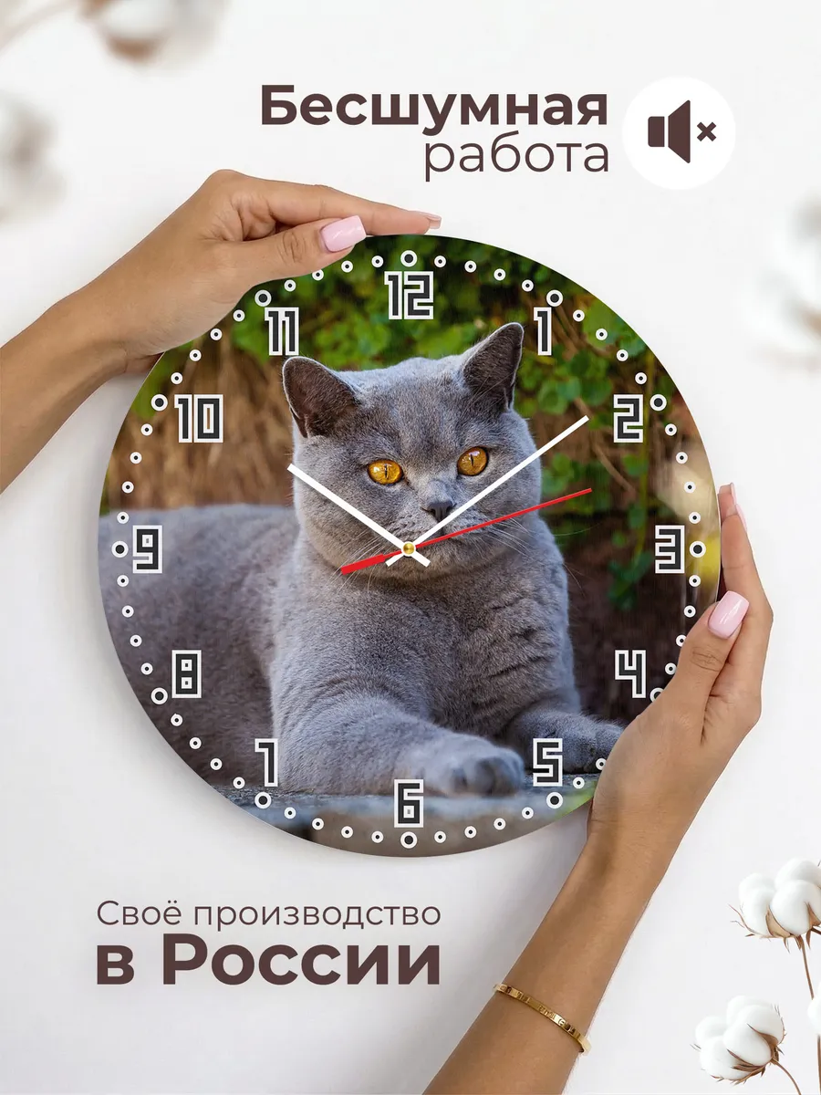 Часы настенные "Британка короткошерстная серая " — фото 6