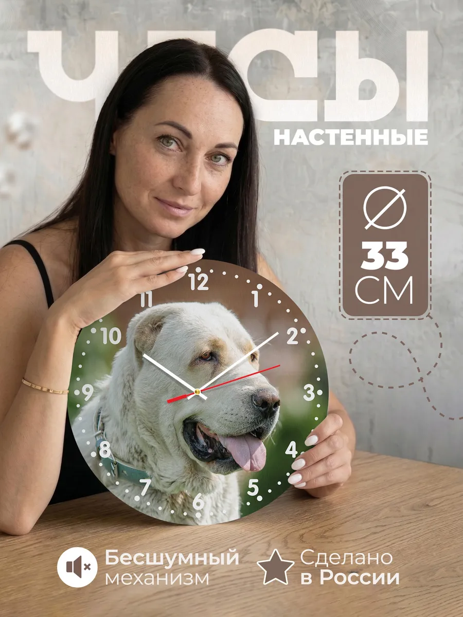 Часы настенные "Собака алабай с белым окрасом"