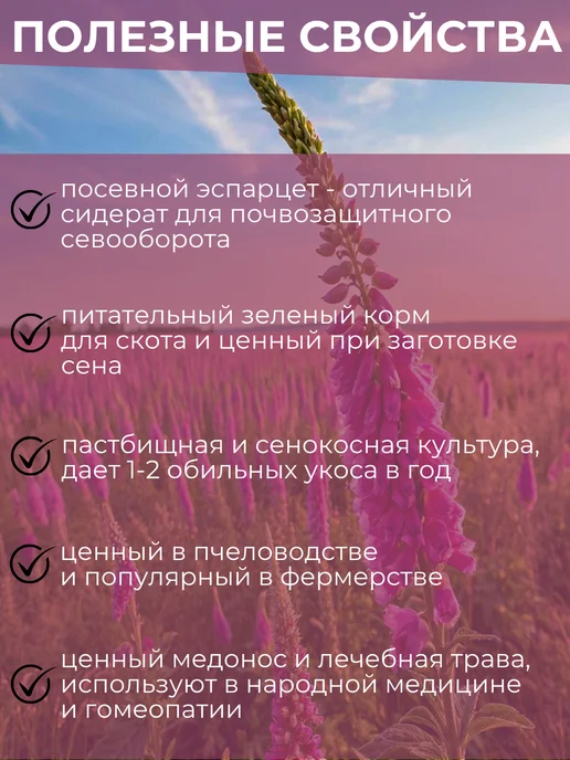 Семена сидераты Эспарцета 1 кг, 1 кг, фото 3