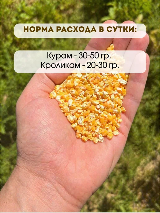 Кукуруза кормовая дробленая для птиц, вариант, фото 3