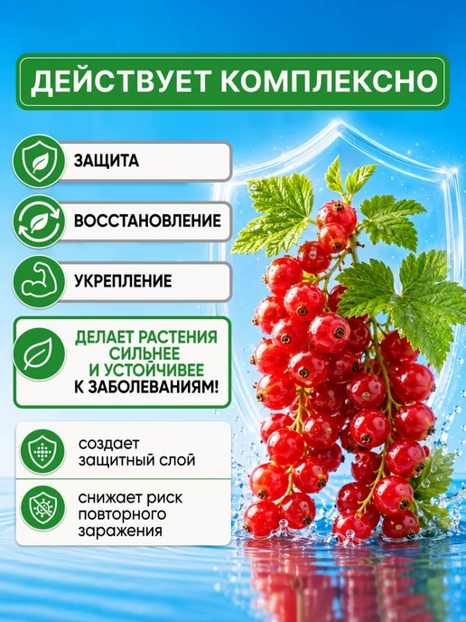 БИО-комплекс Серебромедин средство защиты растений от болезни 350мл, 350 мл, фото 2