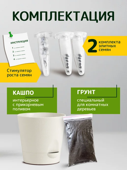 ЭкоКлуб Набор для выращивания "Бонсай для начинающих. Мандарин", вариант, фото 2