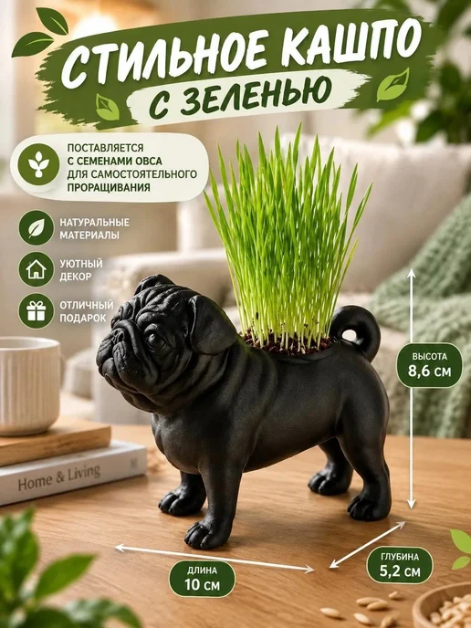 Sweet hobby Набор для самостоятельного проращивания травы черный мопс, черный