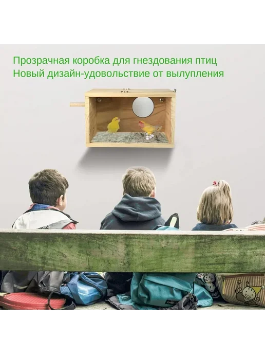 Прозрачный деревянный домик для попугаев, прозрачный, фото 6