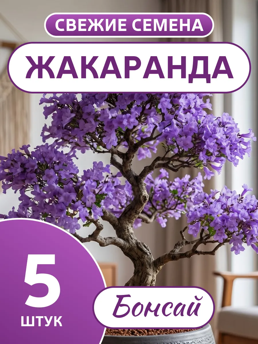 Жакаранда семена для выращивания 5 шт