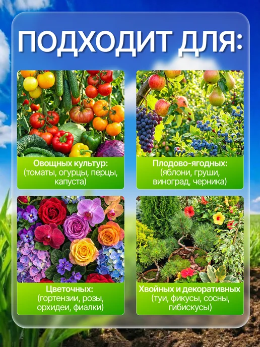 Нэст М Цитовит - хелатное удобрение для растений, вариант, фото 3