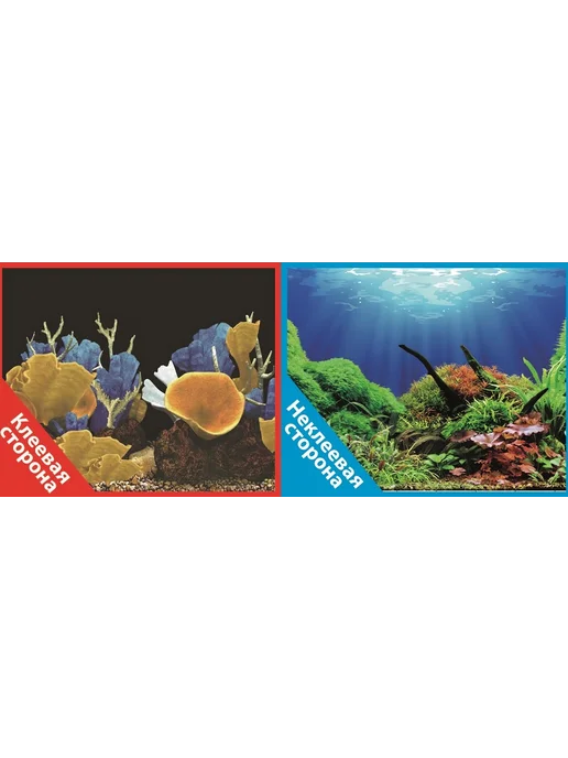 Prime Zoo Фон двухсторонний Морские кораллы и Подводный мир 50x100 см, 50x100 см