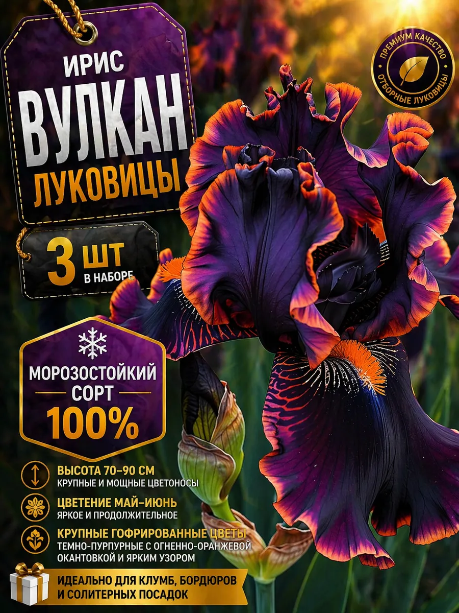 Ирис луковицы многолетние Вулкан 3шт