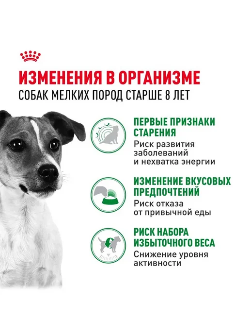Сухой корм Royal canin Набор Влажный для собак, мелкие, 2 кг, фото 2