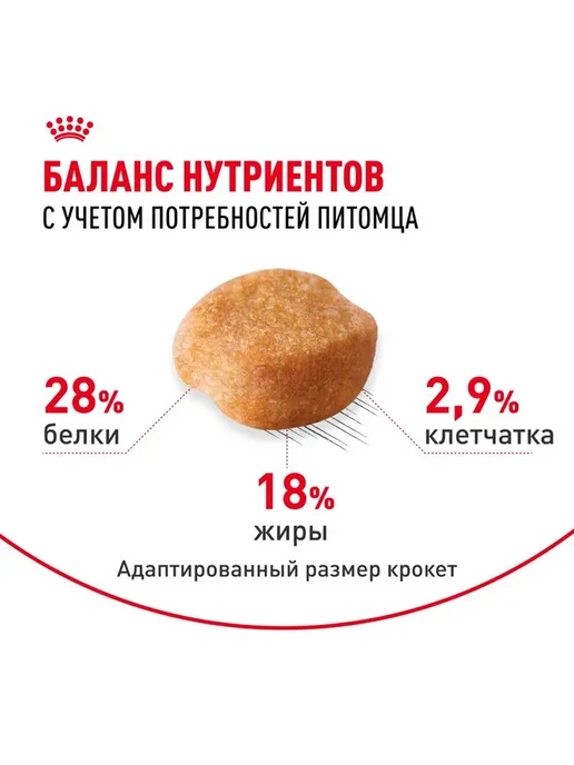 Сухой корм Royal canin Набор Йорков для собак, 1,5 кг, фото 4