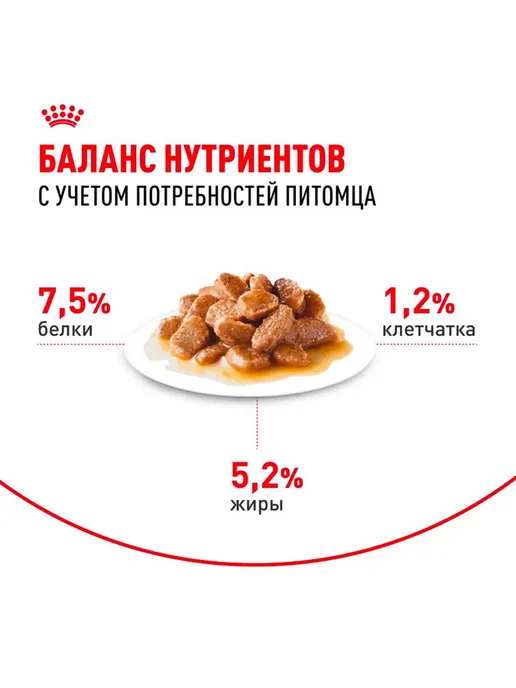 Сухой корм Royal canin Набор Йорков для собак, 1,5 кг, фото 7