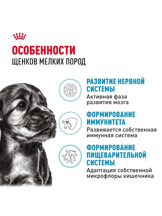Сухой корм Royal canin Набор Влажный для собак, мелкие, щенки, 2 кг, фото 2