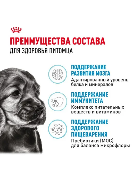 Сухой корм Royal canin Набор Влажный для собак, мелкие, щенки, 2 кг, фото 3