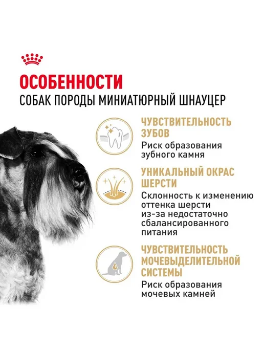 Сухой корм Royal canin Набор Шнауцер для собак, мелкие, 3 кг, фото 2