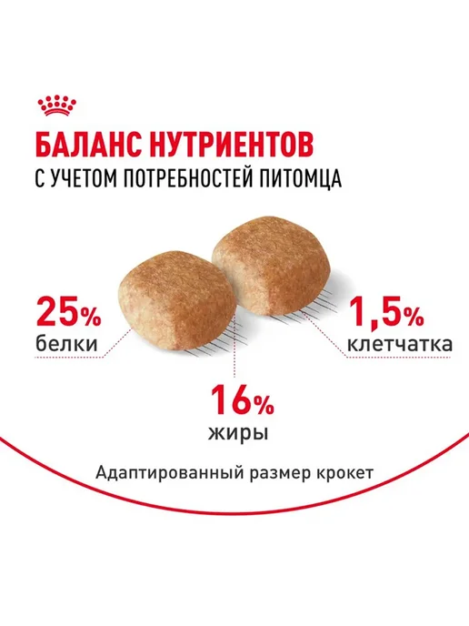 Сухой корм Royal canin Набор Шнауцер для собак, мелкие, 3 кг, фото 4