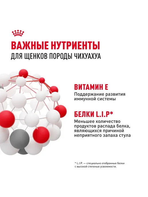 Сухой корм Royal canin Набор Чихуахуа для собак, щенки, 1,5 кг, фото 5