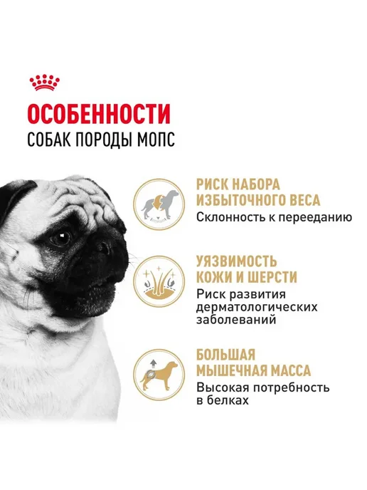 Сухой корм Royal canin Набор Мопс для собак, 1,5 кг, фото 2