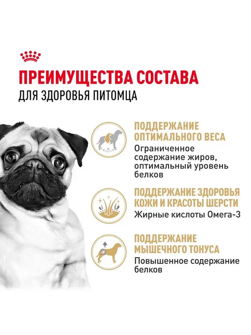 Сухой корм Royal canin Набор Мопс для собак, 1,5 кг, фото 3