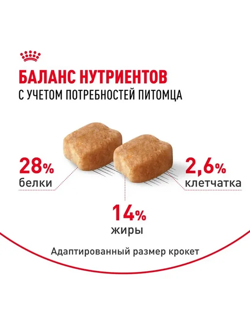 Сухой корм Royal canin Набор Такс для собак, 1,5 кг, фото 4