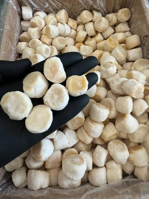 Нет бренда Филе морского гребешка, 60 80 шт кг, 3кг, 80 шт, 3 кг, фото 3
