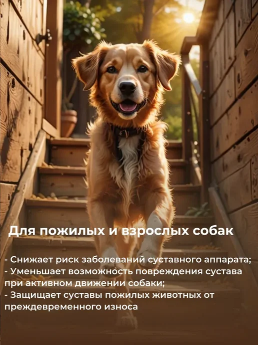 Витамины для взрослой овчарки, вариант, фото 2