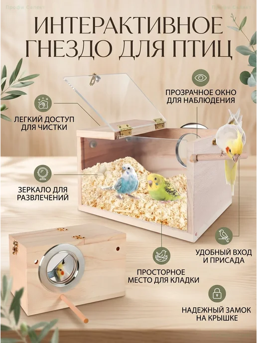 Деревянный домик-гнездо для птиц с прозрачным окном, прозрачный
