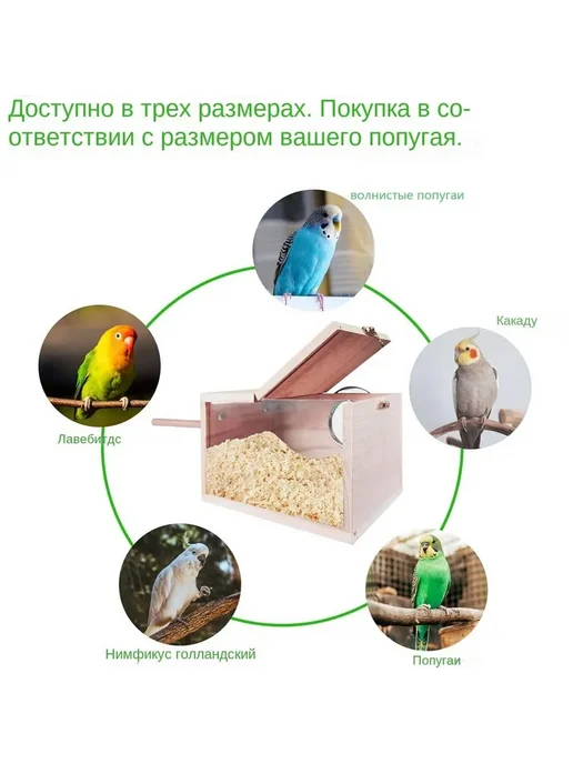 Деревянный домик-гнездо для птиц с прозрачным окном, прозрачный, фото 7