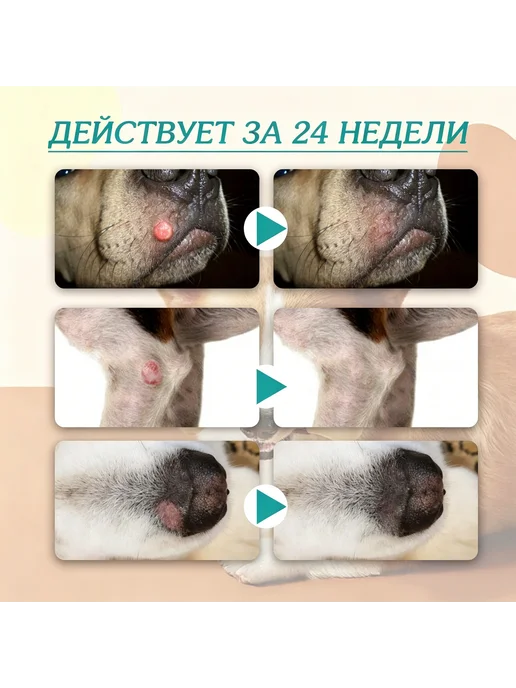 YEGBONG Раствор для удаления бородавок по грамму Пэт, вариант, фото 8