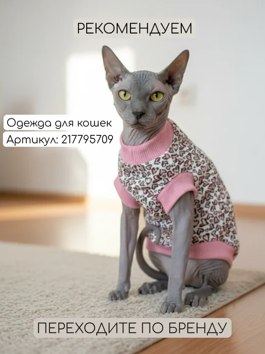 TimkyBone Одежда для котят сфинкс из флиса, коричневый, фото 4