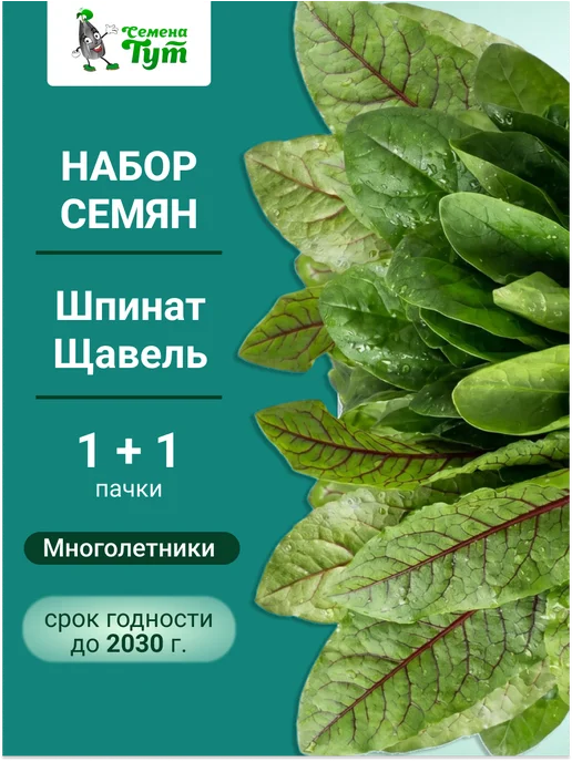 Аэлита Агрофирма Семена зелени Шпинат и Щавель 2п, зеленый