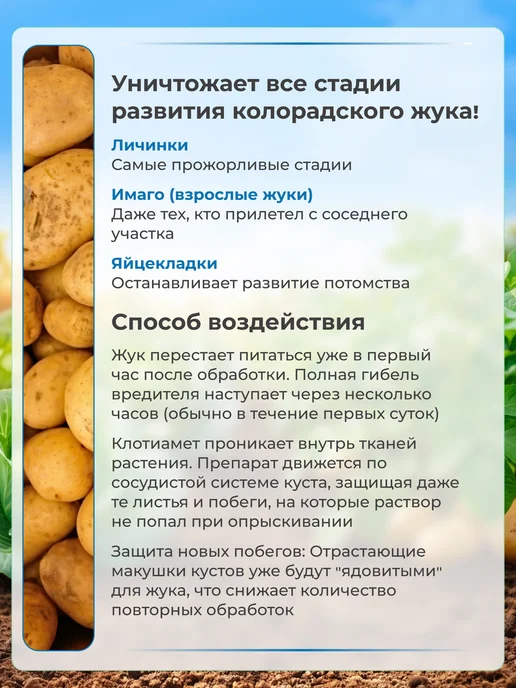 Агрусхим Отрава от колорадского жука Клотиамет 1 гр, 1 г, фото 2