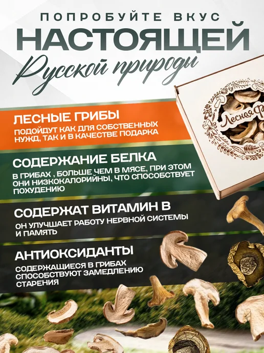Лесная фея Грибы моховики сушеные 100г, 100 г, фото 3