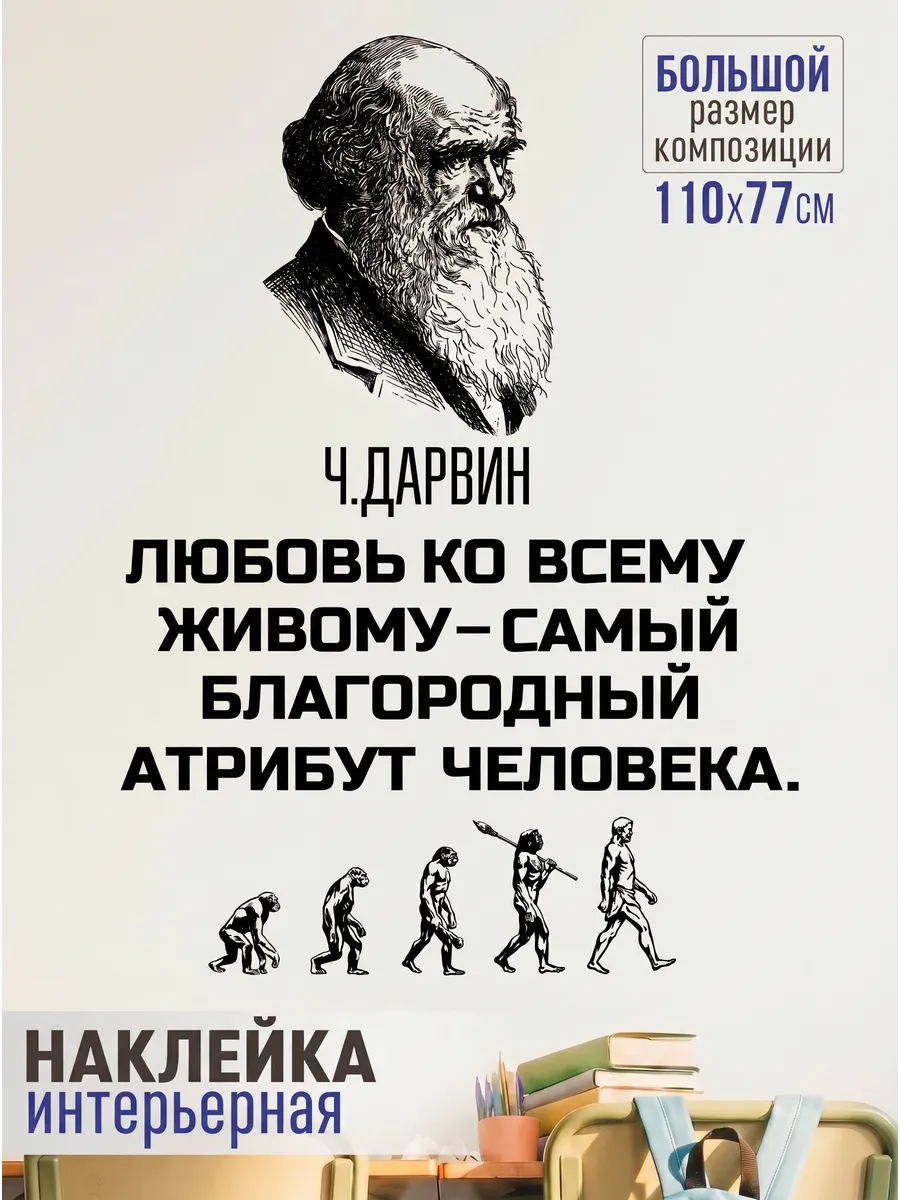 Наклейка на стену в школу в класс