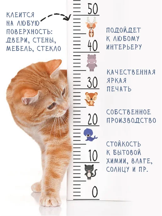 Ростомер детский на стену наклейка 200 см, белый, фото 2