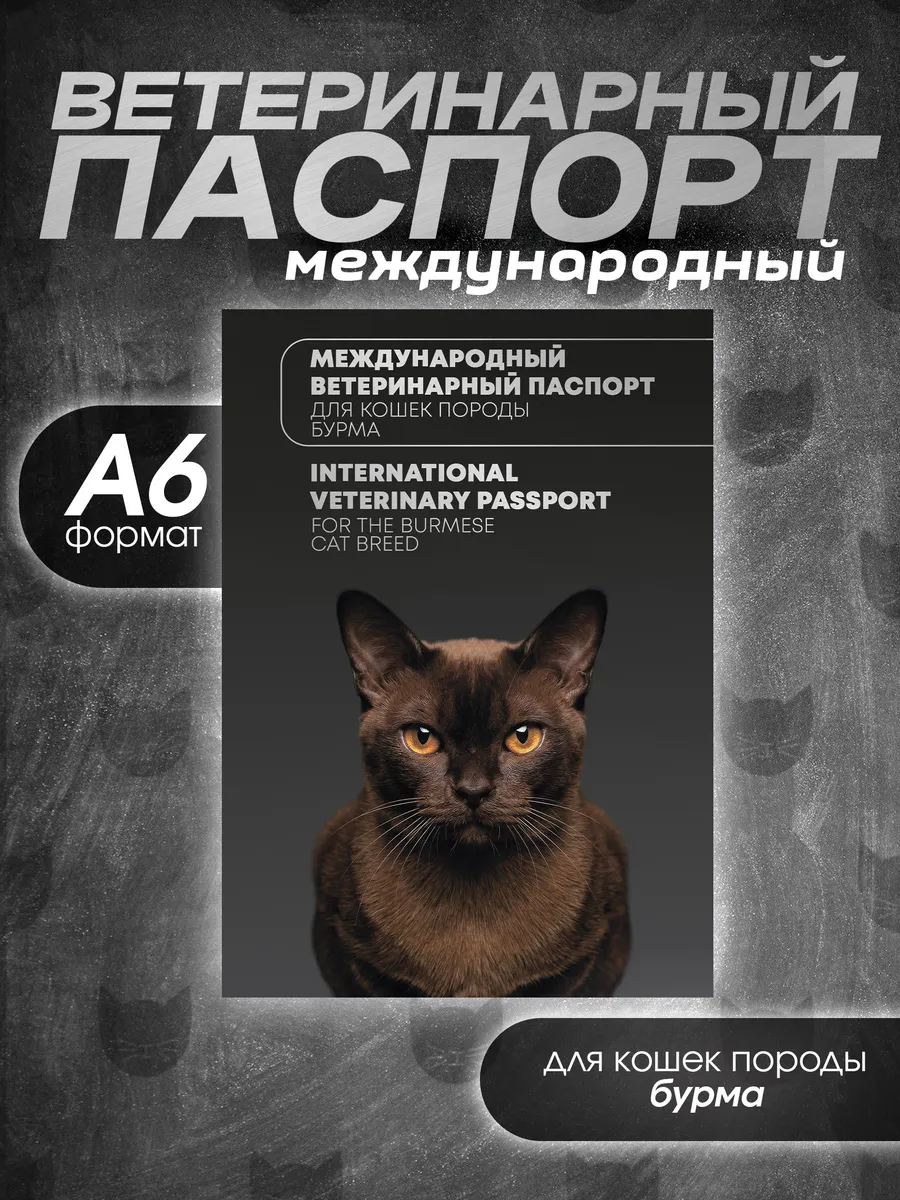 Ветеринарный паспорт для кошек породы бурма
