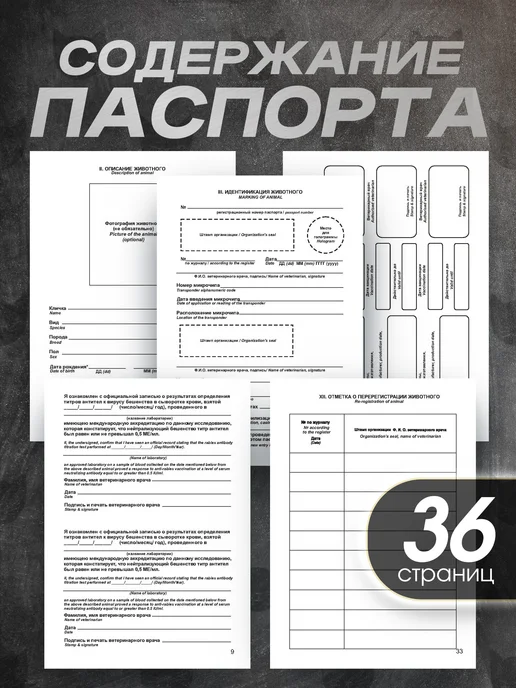 Bamboook Ветеринарный паспорт для кошек породы невская маскарадная, черный, фото 2