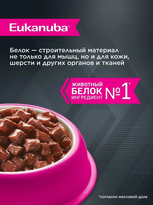 Сухой корм Eukanuba Набор Влажный для собак, 10 кг, фото 2