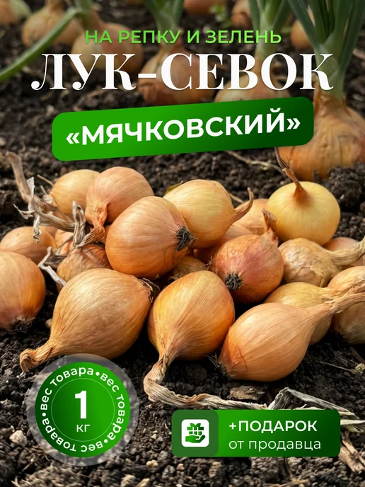 Лук-севок для посадки озимый Геркулес 1 кг, 1 кг