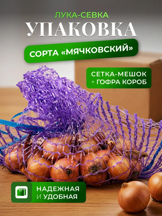Лук-севок для посадки озимый Геркулес 1 кг, 1 кг, фото 3