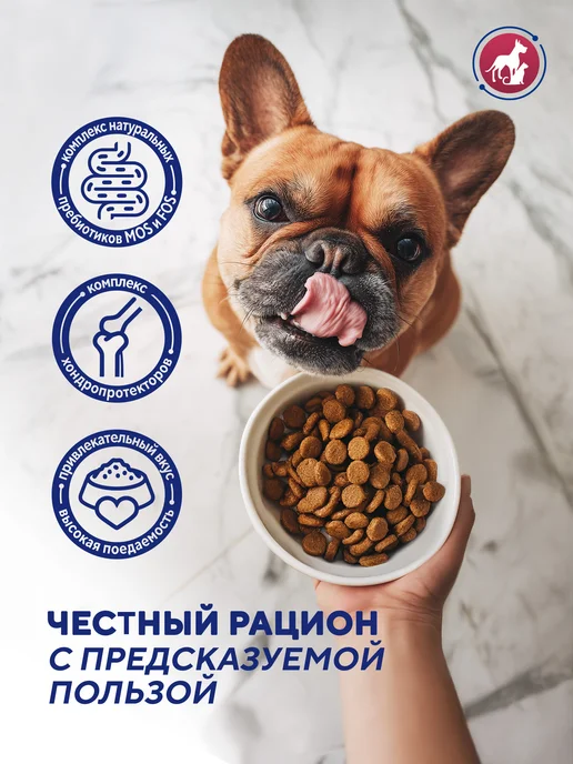 Сухой корм PetFoodLab Пр… для собак, гипоаллергенный, мелкие, 3,2 кг, фото 4