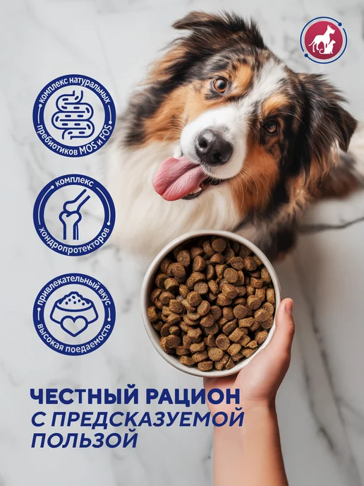 Сухой корм PetFoodLab для собак, гипоаллергенный, крупные, средние, 1,2 кг, фото 4