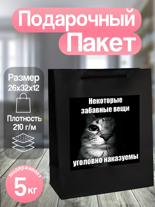 Allure Gift Пакет подарочный мем котики, черный