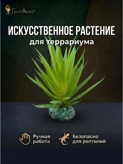 ГротАква Растение для террариума, аквариума, суккулент, зеленый, фото 2