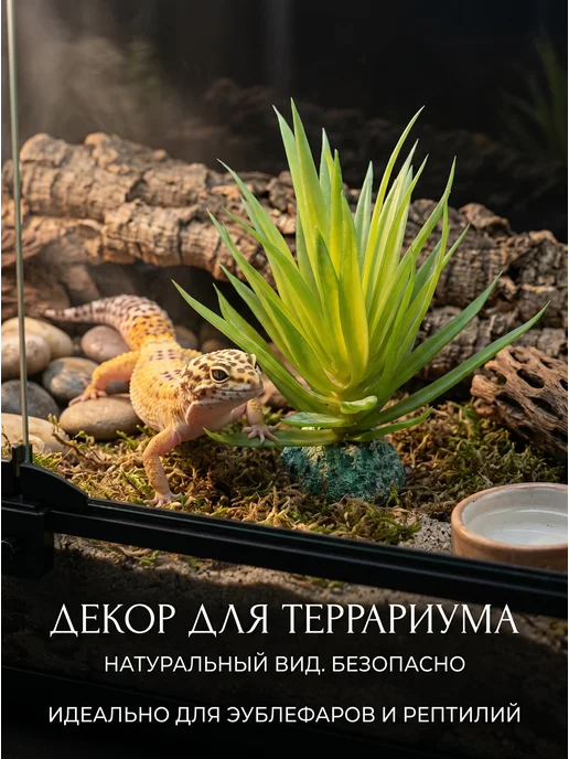 ГротАква Растение для террариума, аквариума, суккулент, зеленый, фото 4