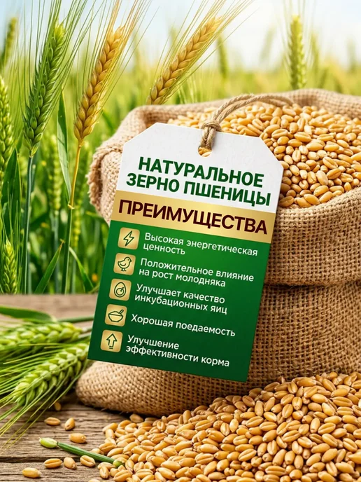 ЭКО ФЕРМЕР Пшеница кормовая 10 кг, 10 кг, фото 2