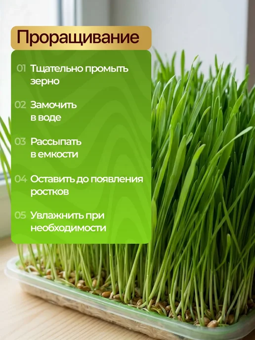 ЭКО ФЕРМЕР Пшеница кормовая 10 кг, 10 кг, фото 4