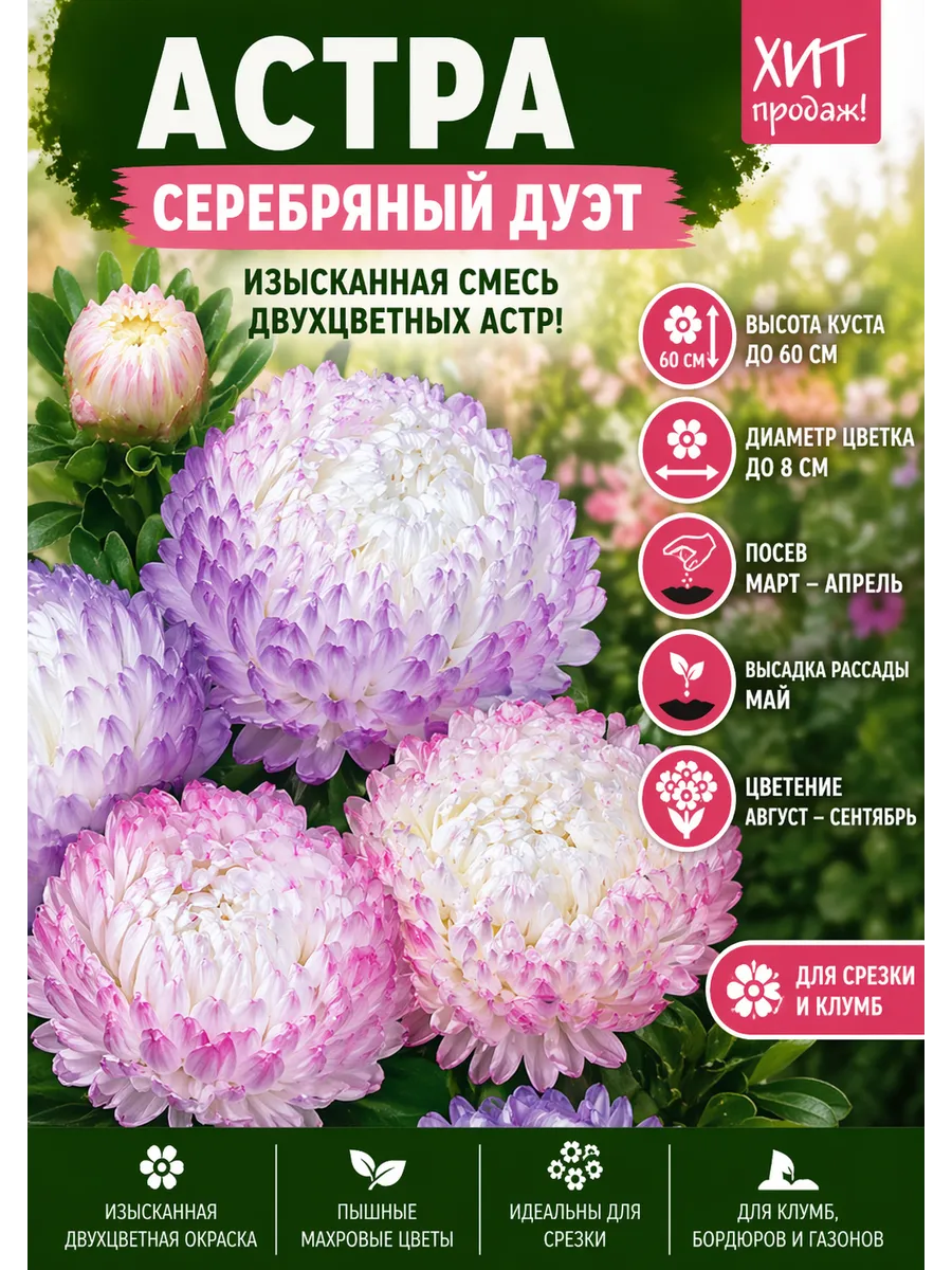 Астра Серебряный Дуэт, 2 пакета
