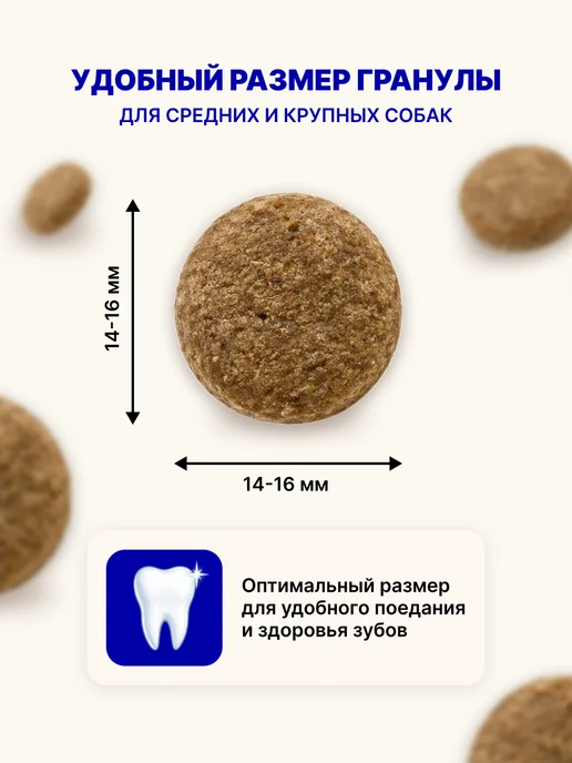 Сухой корм Jump Run для собак, говядина, 2,5 кг, фото 4