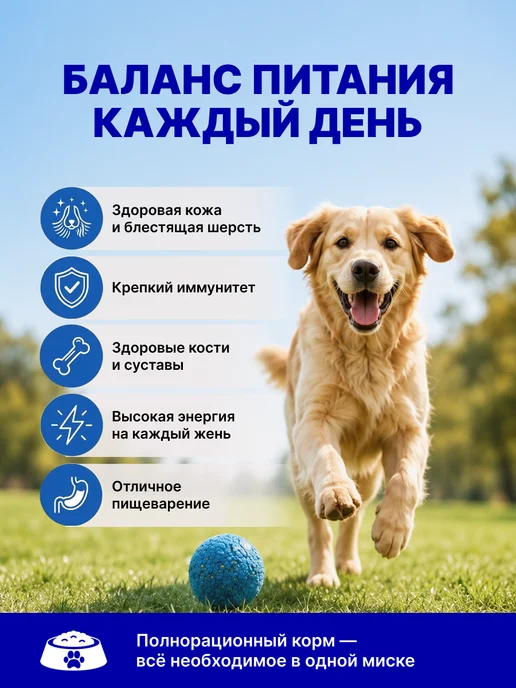 Сухой корм Jump Run для собак, говядина, 2,5 кг, фото 8